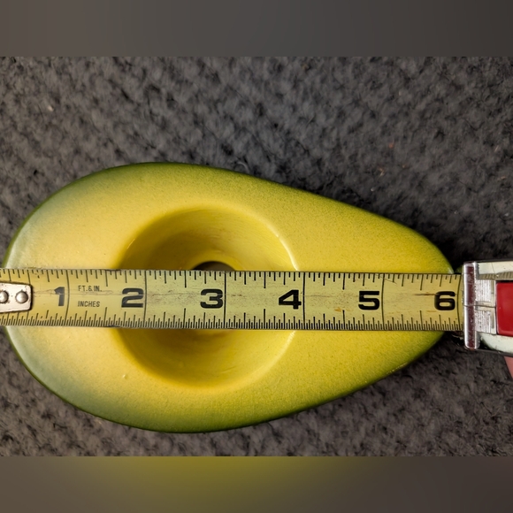 Grow Your Own Avocado 🥑 Tree - Picture 8 of 9